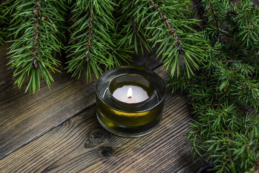 Photo of a lit candle surrounded by pine branches